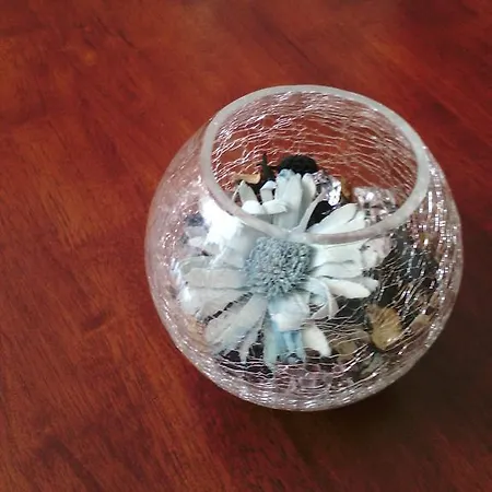 Dandelion Vikendica