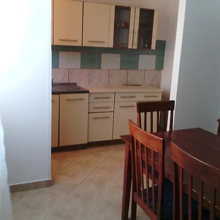 Dandelion *